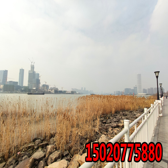 山西高速公路边坡绿化